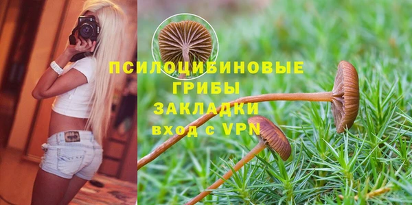 ГАЛЛЮЦИНОГЕННЫЕ ГРИБЫ Абаза
