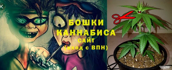 ГАЛЛЮЦИНОГЕННЫЕ ГРИБЫ Абаза