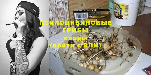 ГАЛЛЮЦИНОГЕННЫЕ ГРИБЫ Абаза
