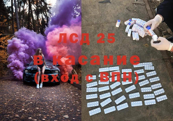 индика Алзамай