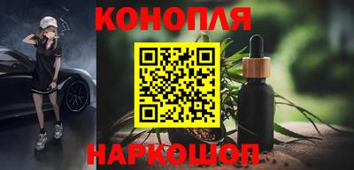 стафф Ставрополь
