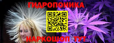 стафф Ставрополь