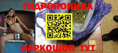 стафф Ставрополь