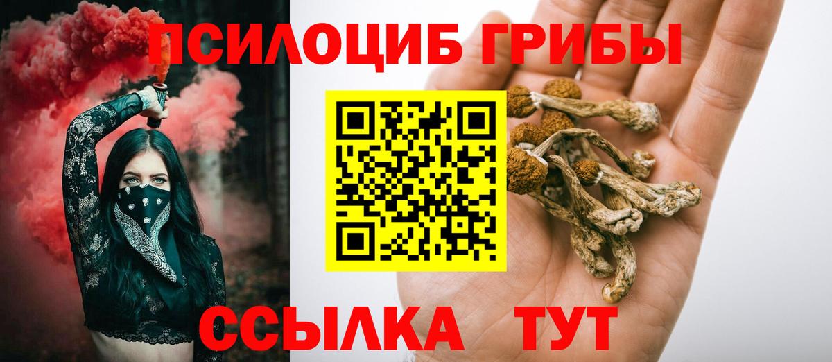 Галлюциногенные грибы Psilocybe Шумерля